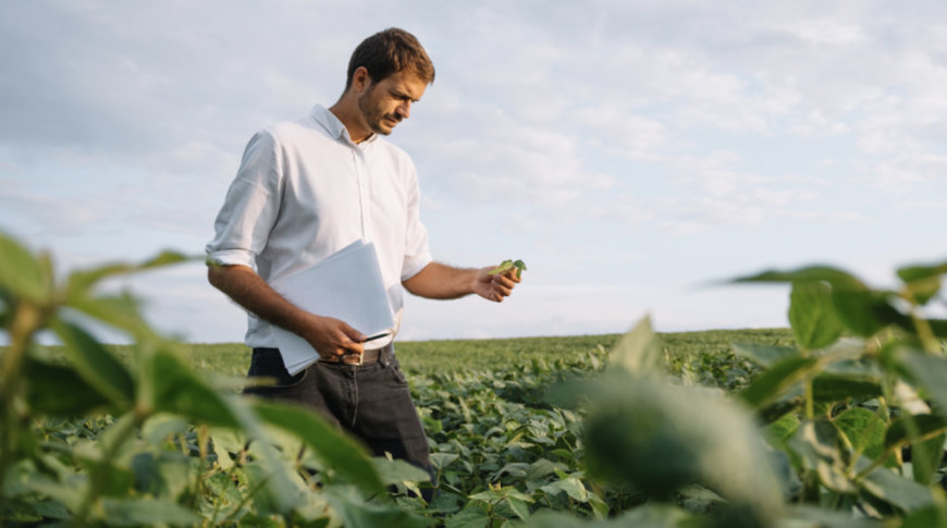 Farmers Achieve Lower Carbon Emissions with the Help of a New Regenerative Agriculture Collaboration in Europe